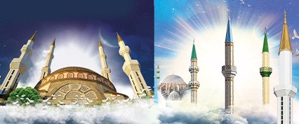 PROFESYONEL TECRÜBE