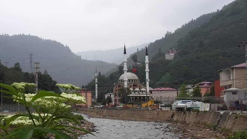 Giresun Kovanlık, Kastamonu Tosya